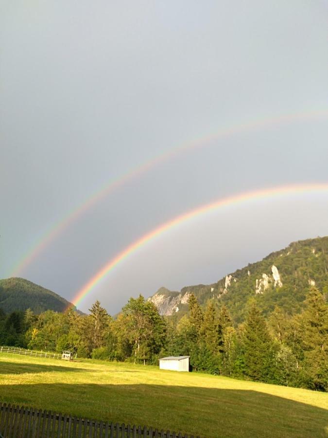 Haus Salvenmoser Walchsee Zewnętrze zdjęcie